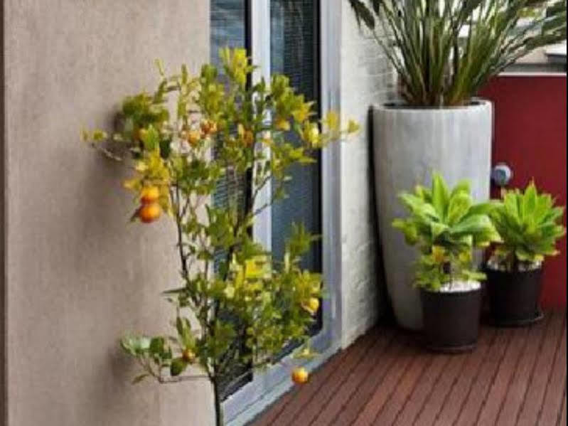 TWOFOURTWO Boutique Apartments Launceston Extérieur photo